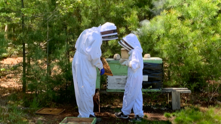My daughter Georgia helping me tend to my beehives a few years ago.